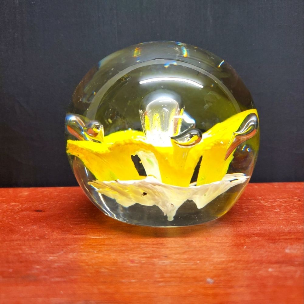Vintage Yellow White Blown Glass Daffodil Paperweight Very Pretty!